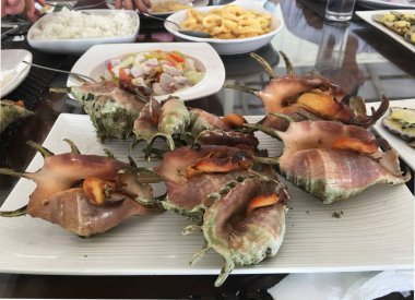 Photo of a cooked spider conchs locally known as saang, a Filipino delicacy which are large sea snails or marine gastropod mollusks served on a plate in Bantayan, Cebu, Philippines. clipart