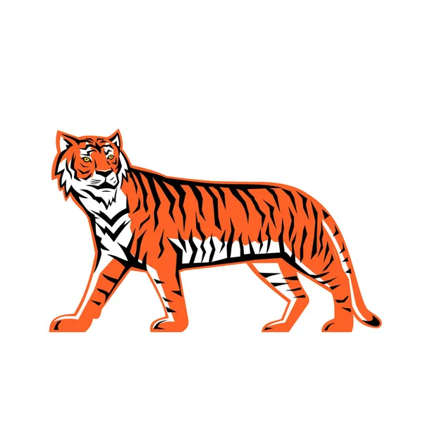 Иконка Спортивного Талисмана Полного Тела Бенгальского Тигра Азиатского Тигра Идущего — стоковый вектор