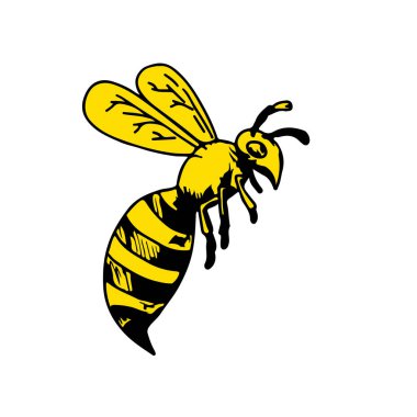 Bir yellowjacket arı veya yan görünüm beyaz arka plan üzerinde uçan eşekarısı çizim kroki tarzı resmi.