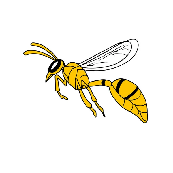 Rajz Vázlat Stílusú Illusztrációja Egy Darázs Vagy Hornet Repül Nézett — Stock Vector