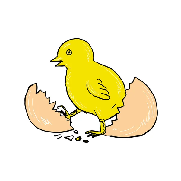 Drawing Sketch Style Illustration Chick Cracking Hatching Out Egg Isolated — Stock Vector