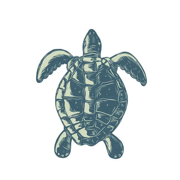 Scratchboard Stijl Illustratie Van Een Zeeschildpad Zwemmen Bekeken Van Boven — Stockvector