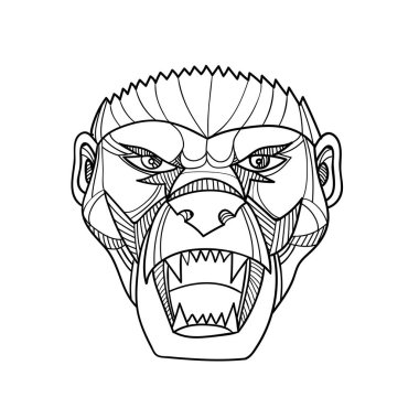 Baş bir öfkeli ve saldırgan Bal porsuğu veya siyah ve beyaz monoline tarzında yapılan açık her bakıldığında ratel mono line çizimi.