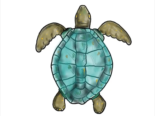Animace Pohybu Grafiku Ukazující Výkres Ridley Želva Moře Plavání Při — Stock fotografie