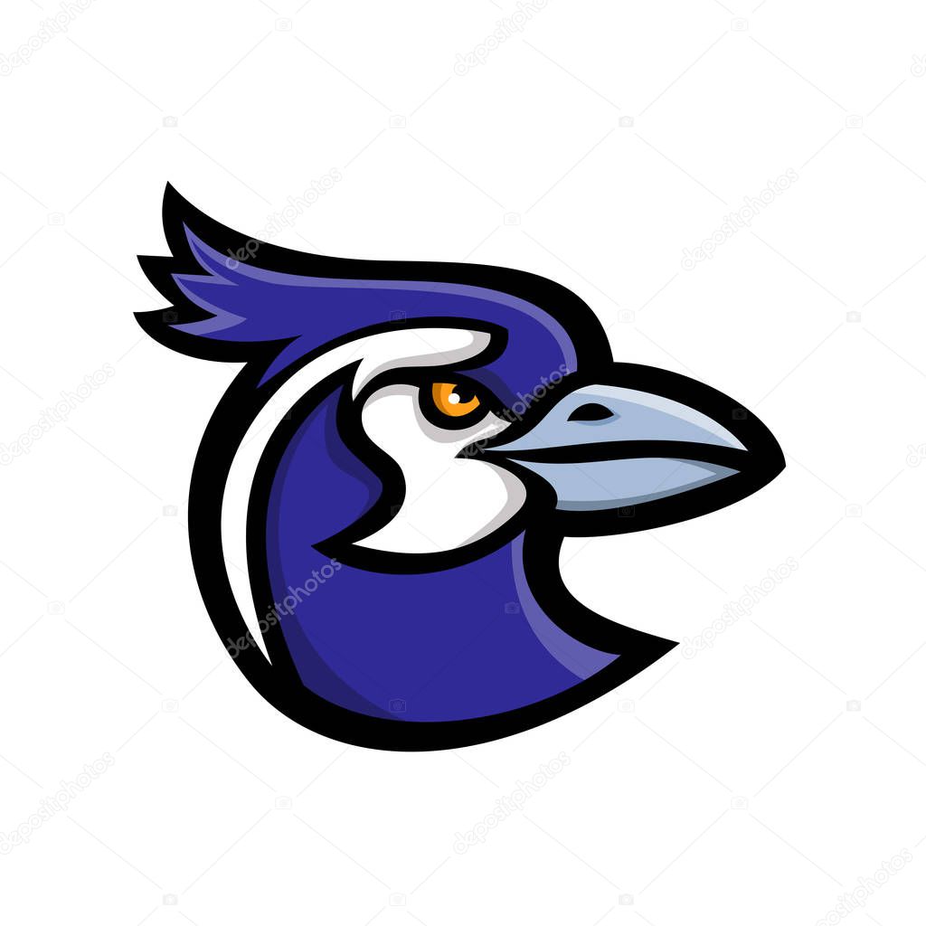 Mascot icon illustration of head of a black-throated magpie-jay (Calocitta colliei), a long-tailed magpie-jay of northwestern Mexico viewed from side looking up on isolated background in retro style.