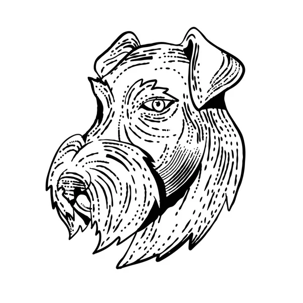 Illustration Style Gravure Tête Airedale Terrier Bingley Terrier Waterside Terrier — Image vectorielle