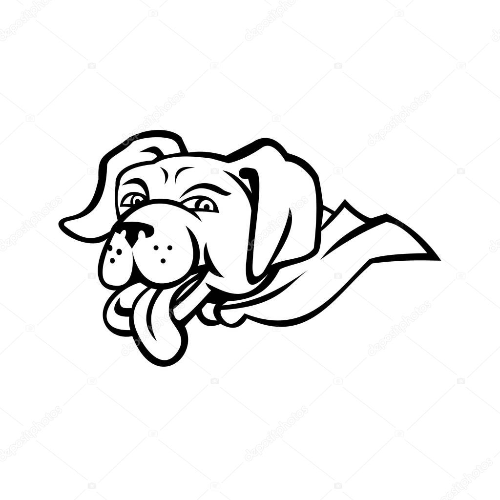 Sports mascot icon illustration of head of a labrador retriever dog wearing a cape with tongue out  viewed from side on isolated background in black and white retro style.