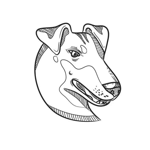 黒と白で隔絶された白を背景に 横から見た滑らかな毛のテリアタイプの犬 マンチェスター テリア の頭部を描いたスケッチスタイルのイラスト — ストックベクタ