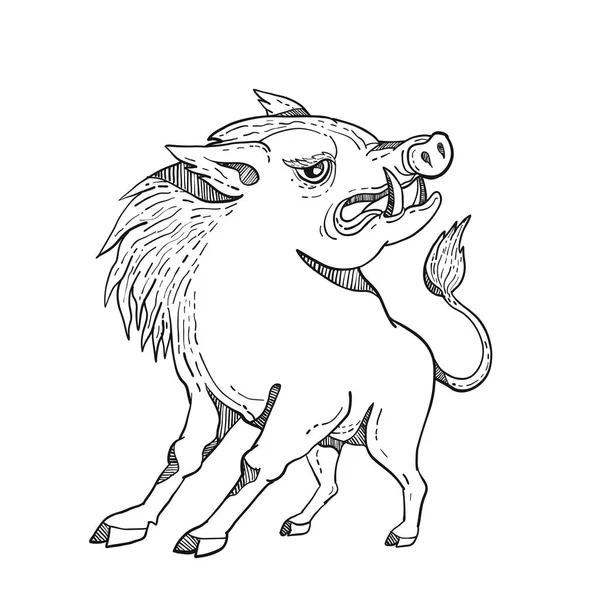 Doodle Art Εικονογράφηση Razorback Άγριος Χοίρος Αγριογούρουνο Γουρούνι Ψάχνει Πλευρά — Διανυσματικό Αρχείο