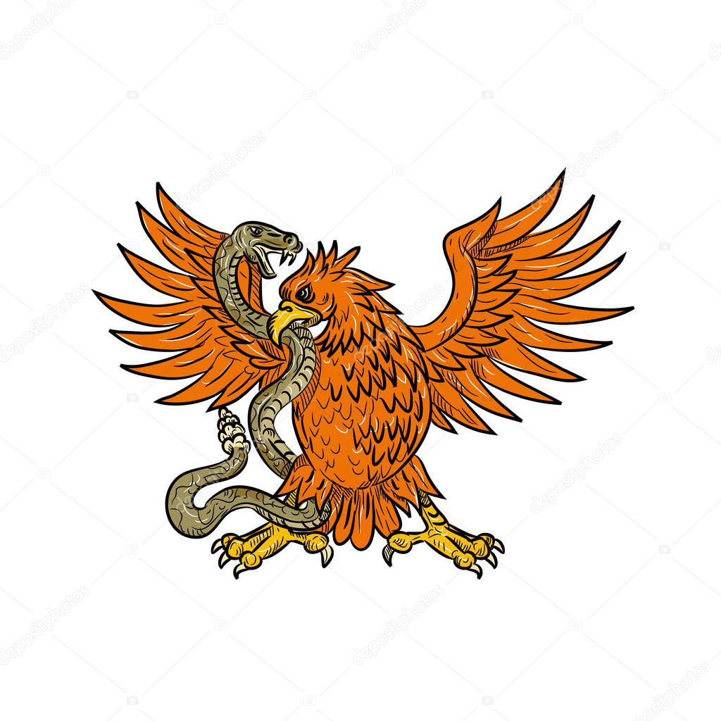 Drawing sketch style illustration of an American golden eagle, Mexican eagle or northern crested caracara grappling a rattlesnake, viper, snake or serpent in black and white on isolated background.