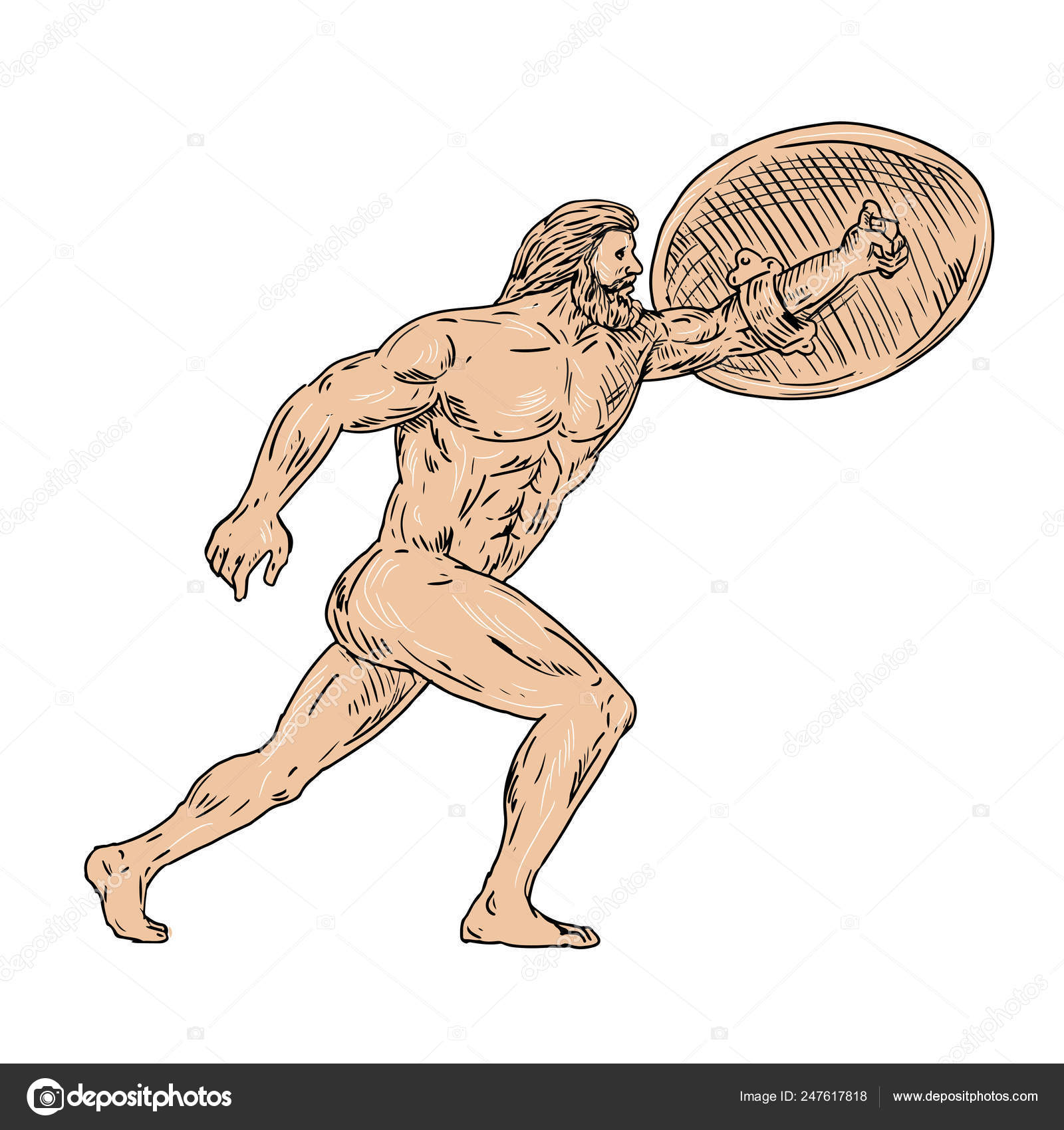 Hércules com escudo indo para a frente desenho Vetor de ©patrimonio  247617818, image size:1600x1700