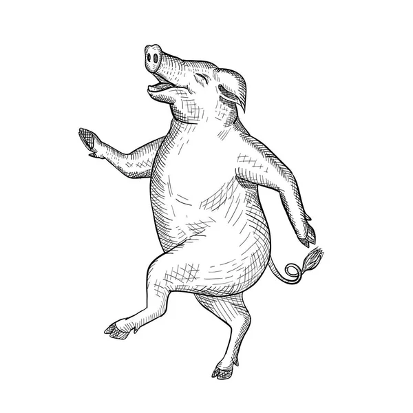 Happy Pig Dancing Dessin rétro noir et blanc — Image vectorielle