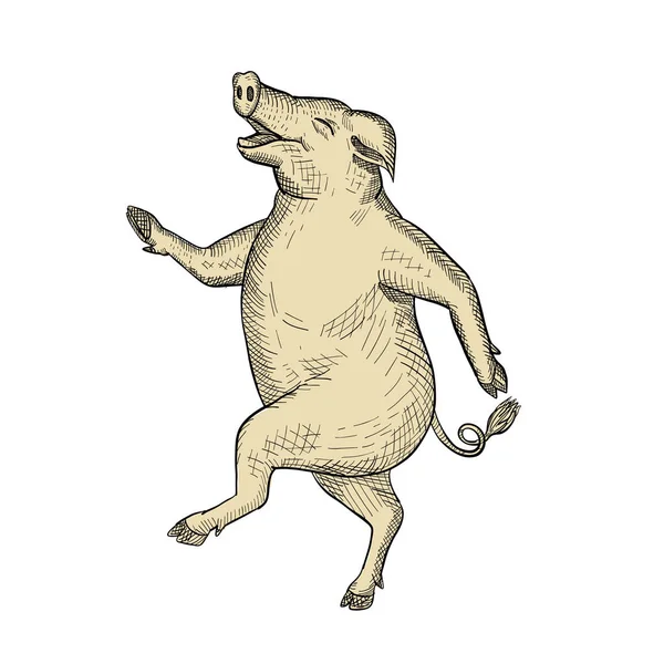 Jolly Pig Dancing Drawing Retro Color — Stock Vector