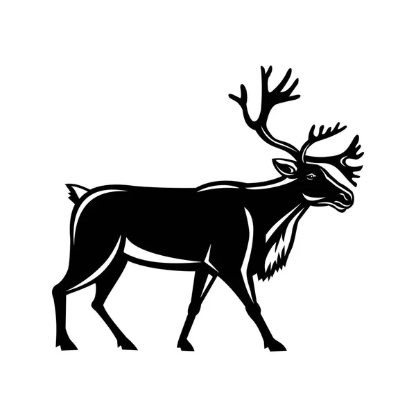 Caribou Walking Сторона Ретро — стоковий вектор