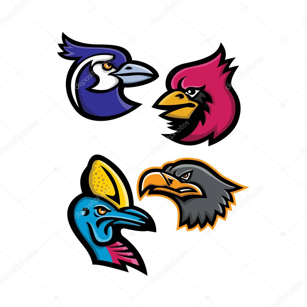 Mascot icon illustration set of heads of bird wildlife like the black throated magpie, cardinal, cassowary and the european eagle viewed from side  on isolated background in retro style.