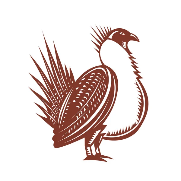 Sage Grouse Uccello Woodcut — Vettoriale Stock