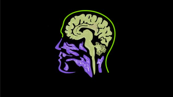 Анімаційна Графіка Руху Показує Сканування Або Сканування Мозку Нейровізуалізацію Візуалізацію — стокове відео