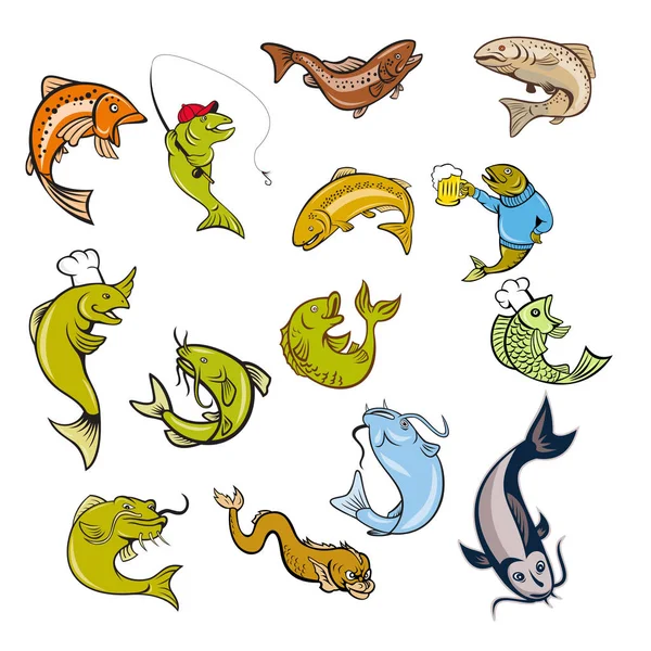 Conjunto de desenhos animados de mascote de peixe de salmão de truta — Vetor de Stock