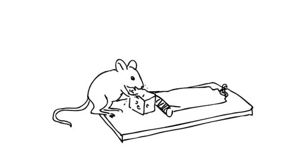マウストラップでチーズ餌を食べ Hd高精細でアルファマットで白と緑の画面に巻き込まれるマウスの2Dアニメーションモーショングラフィックス描画 — ストック動画