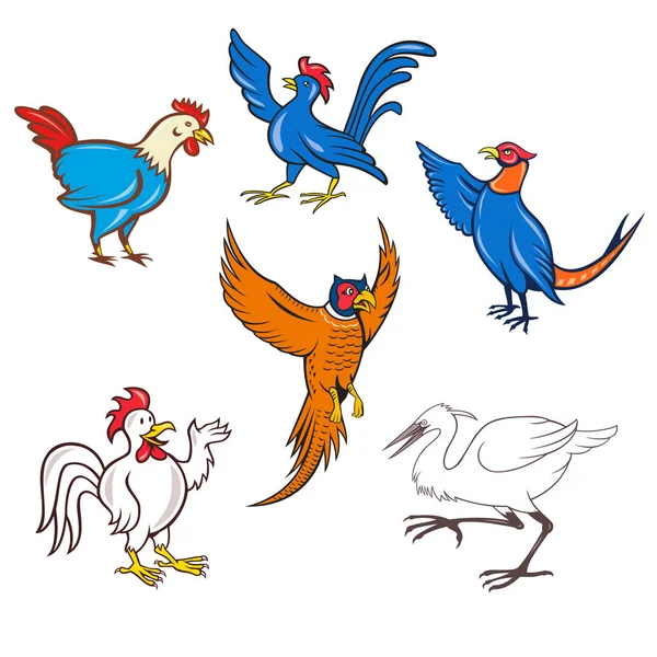 Fowl Cartoon Set — Stock Vector