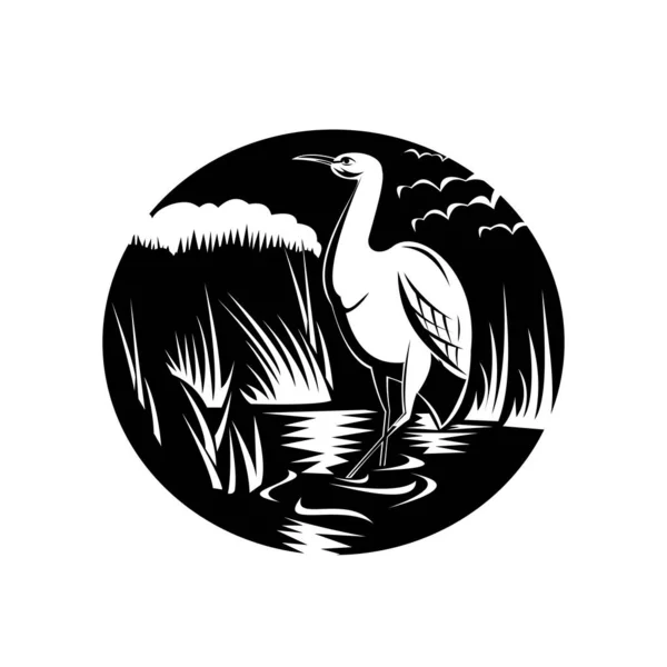 Illustration Style Rétro Une Aigrette Butor Héron Oiseau Eau Douce — Image vectorielle