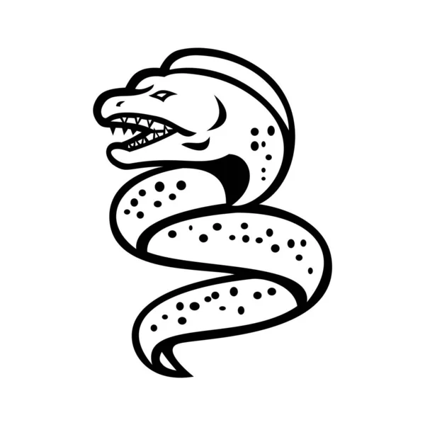 Icono Mascota Ilustración Una Morena Enojada Muraenidae Con Mandíbula Faríngea — Vector de stock