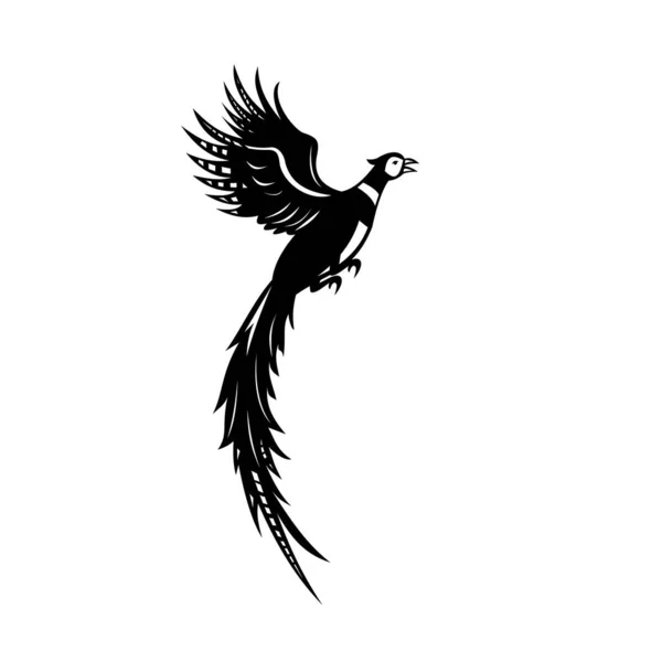 Schwarz Weiße Illustration Einer Silhouette Eines Herkömmlichen Fasans Oder Ringelhalsfasans — Stockvektor