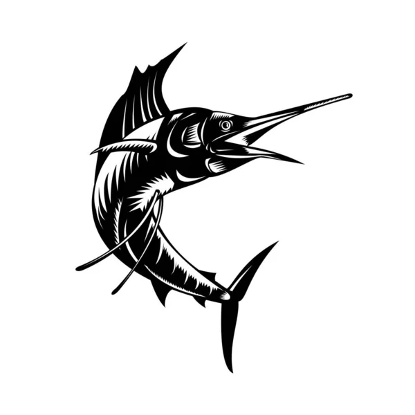 Retro Träsnitt Stil Illustration Atlantisk Segelfisk Eller Istiophorus Albicans Mussla — Stock vektor