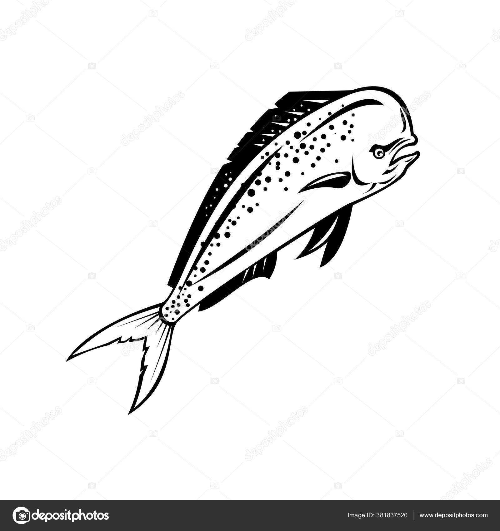 Mahi, Flame names, Name, human, name design, people, person name, your  names, HD phone wallpaper | Peakpx, image size:1600x1700