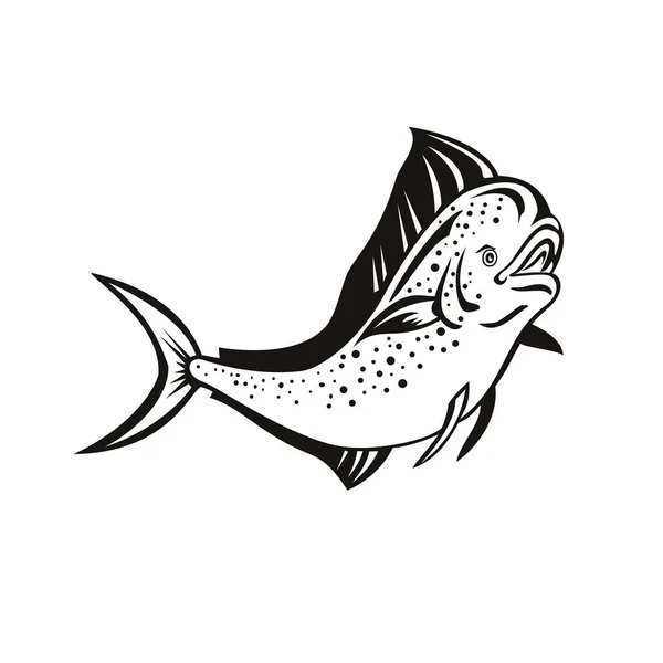 复古风格的图例 描绘的是一种生活在海面上的鱼鳍鱼 在孤立的背景中以黑白两种颜色跳跃而形成的一种叫 Mahi Mahi Dorado 或普通海豚 Coryphaena Hippurus 的动物 — 图库矢量图片
