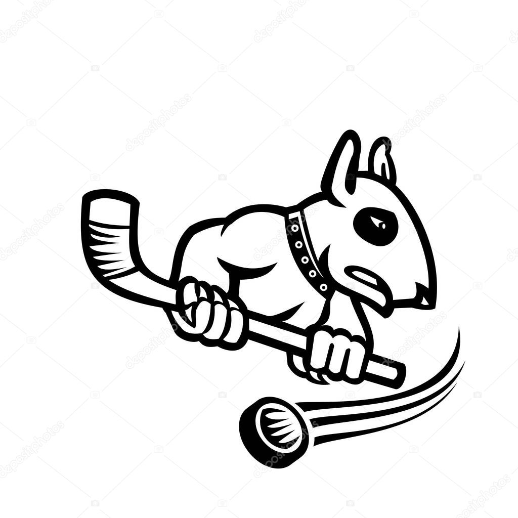 Sports mascot black and white illustration of a bull terrier or wedge head holding an ice hockey stick with puck at back viewed from side on isolated background in retro style.