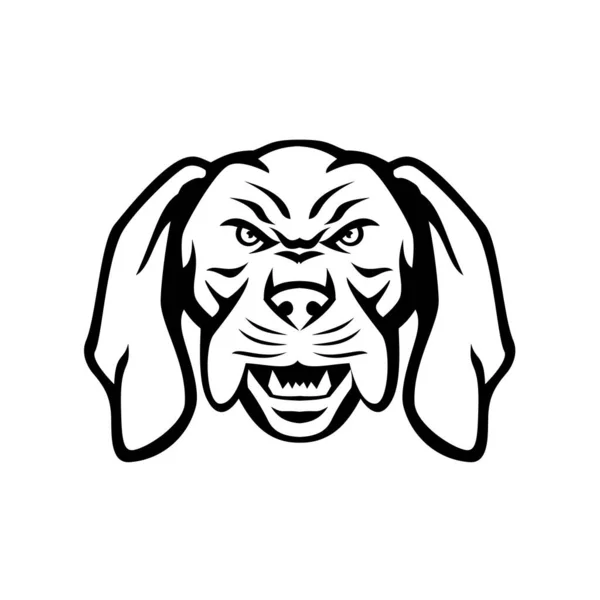 怒りと積極的なハンガリーやマジャール ヴィズスラのスポーツ ポインタとレトロなスタイルで隔離された背景に正面から見た検索犬の頭の黒と白のマスコットイラスト — ストックベクタ