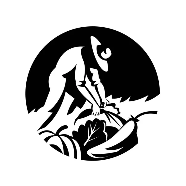 Чорно Біла Ілюстрація Органічного Фермера Збирає Овочі Такі Огірковий Кабачок — стоковий вектор