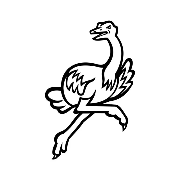 Ilustração Preto Branco Uma Avestruz Avestruz Comum Grande Pássaro Voador — Vetor de Stock