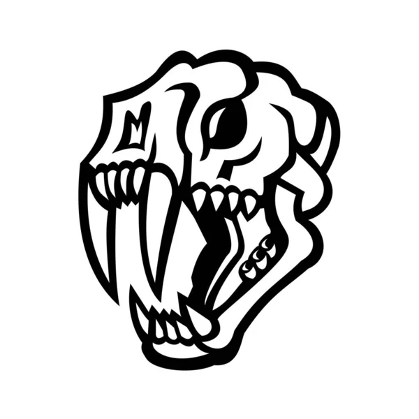 Чорно Біла Ілюстрація Голови Черепа Шабля Зуба Або Сабрі Зуба — стоковий вектор