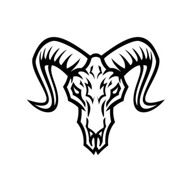 Bighorn koyunlarının kafatasının siyah ve beyaz çizimi ya da arka planda izole edilmiş arka planda geriye dönük bir koç görüntüsü.