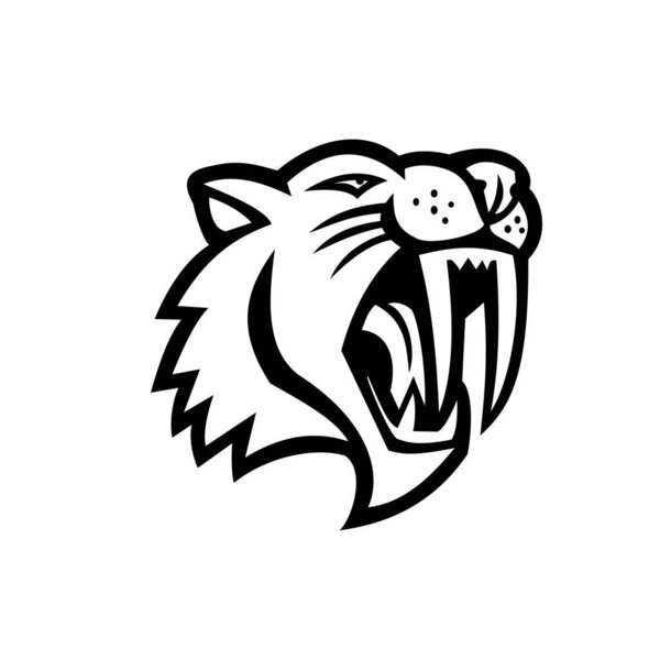 Black and white mascot illustration of head of an angry saber-toothed cat or Smilodon, viewed from side on isolated background in retro style
