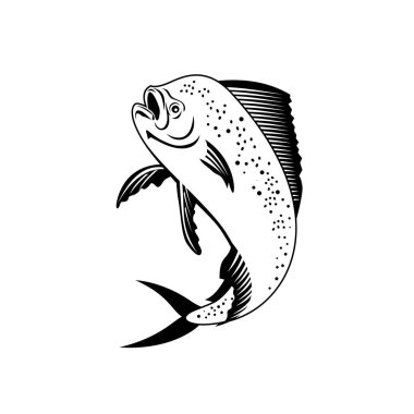 Black and white retro style illustration of a mahi-mahi, dorado, common dolphinfish or dolphin fish viewed from the side jumping up set on isolated white background.  clipart