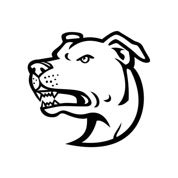 Ασπρόμαυρη Απεικόνιση Του Επικεφαλής Ενός Θυμωμένου Αμερικανικού Staffordshire Terrier Amstaff — Διανυσματικό Αρχείο