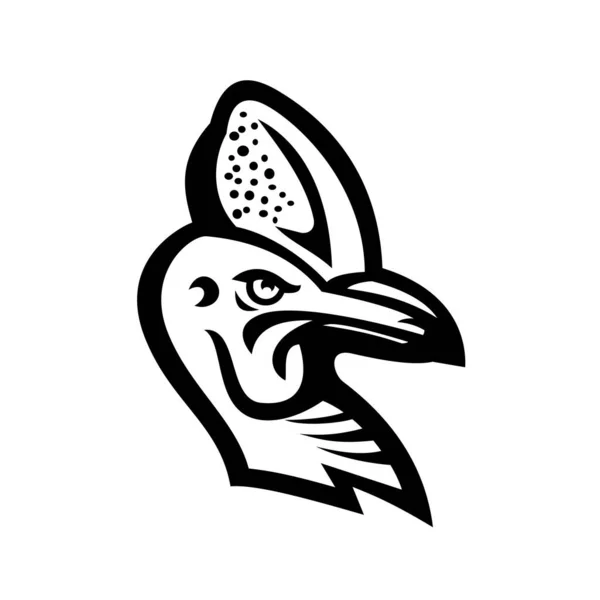 Czarno Biała Ilustracja Głowy Kasownika Rodzaju Casuarius Ptaki Bezgrzebieniowe Rodzime — Wektor stockowy