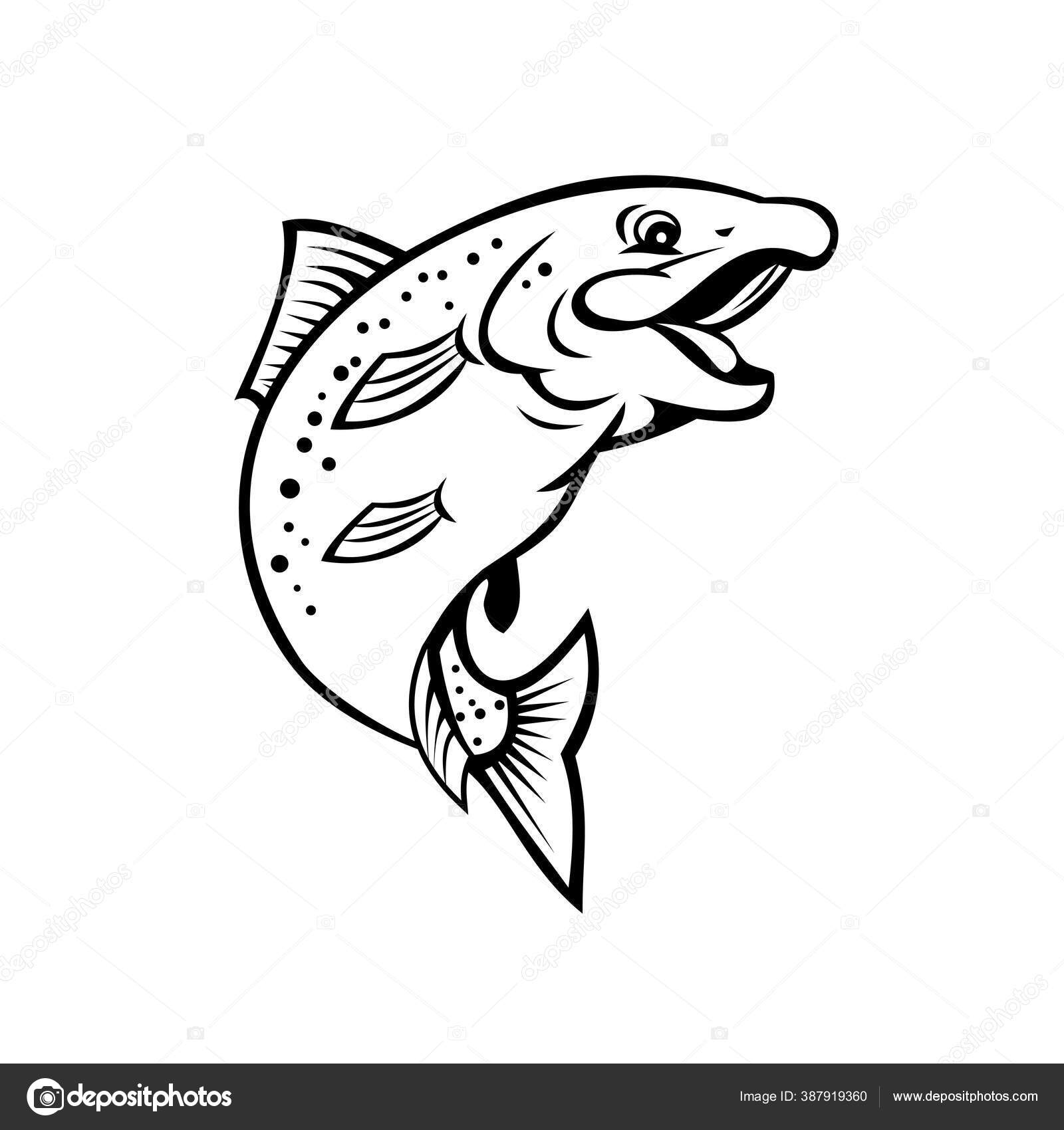 Desenhos Animados Ilustração Estilo Uma Truta Arco Íris Feliz Peixe Vetor de  stock de ©patrimonio 387919360, image size:1600x1700