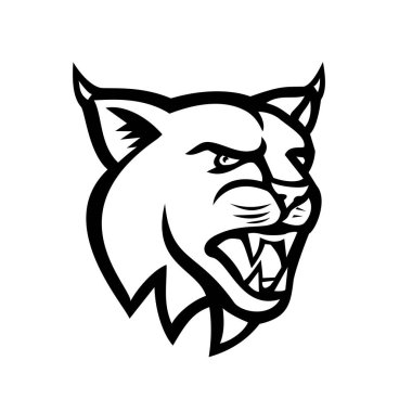 Bir vaşak başı, Kanada vaşağı, Avrasya vaşağı veya Bobcat 'in siyah ve beyaz çizimi, bir yandan izole edilmiş arka planda geçmişe bakan orta büyüklükte bir kedi..