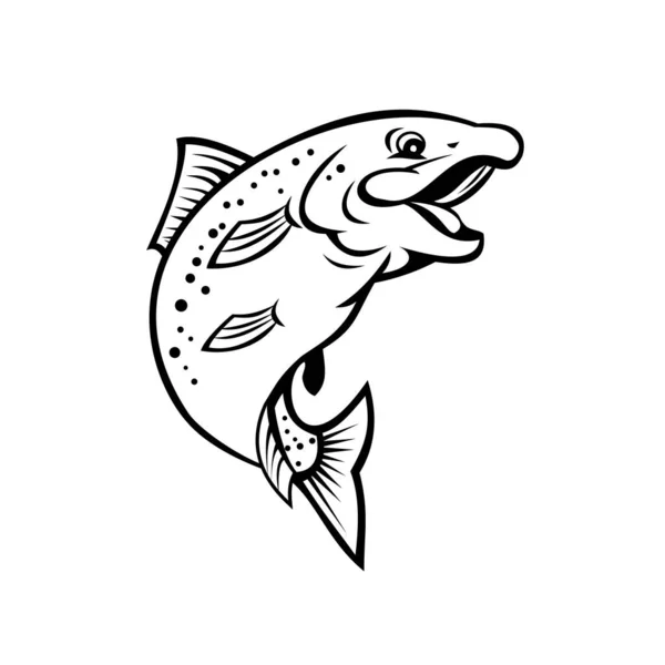 黒と白の孤立した白を背景に 幸せなニジマスやサケの魚が飛び上がる漫画風のイラスト — ストックベクタ