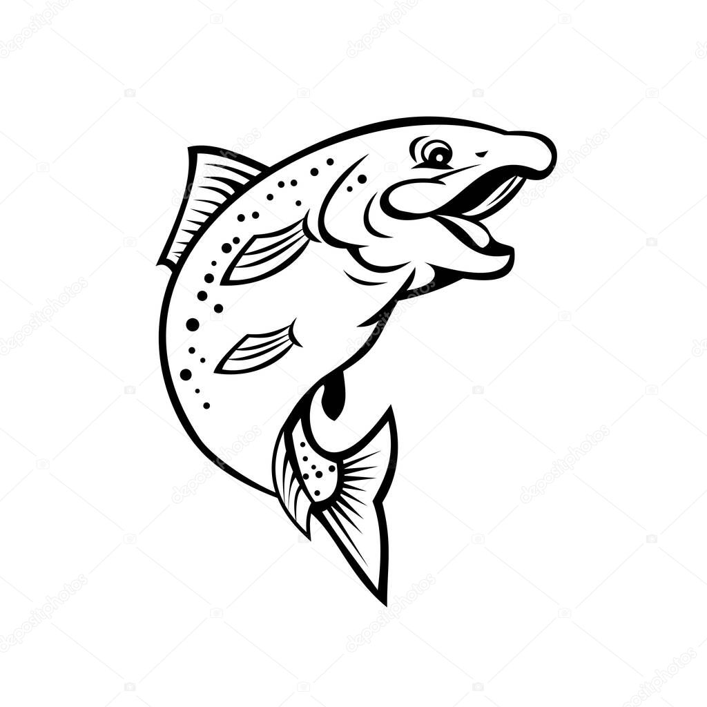 Cartoon style illustration of a happy rainbow trout or salmon fish jumping up on isolated white background in black and white.