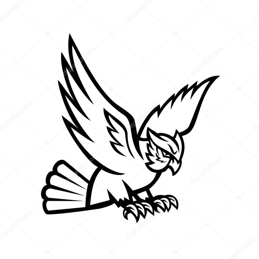 Black and white mascot illustration of a great horned owl flying and swooping viewed from side on isolated background in retro style.