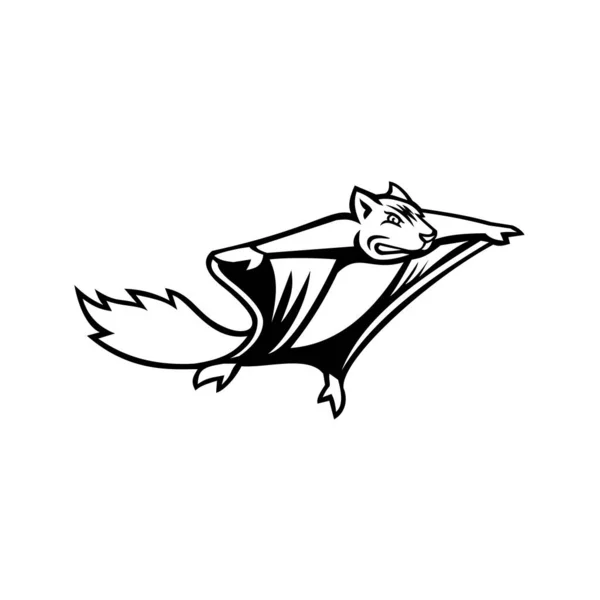 Mascota Blanca Negra Ilustración Una Ardilla Voladora Ardilla Voladora Negra — Vector de stock
