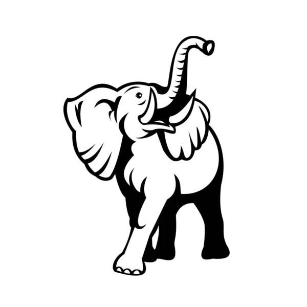 Черно Белый Ретро Талисман Изображающий Слона Длинными Бивнями Смотрящего Спереди — стоковый вектор