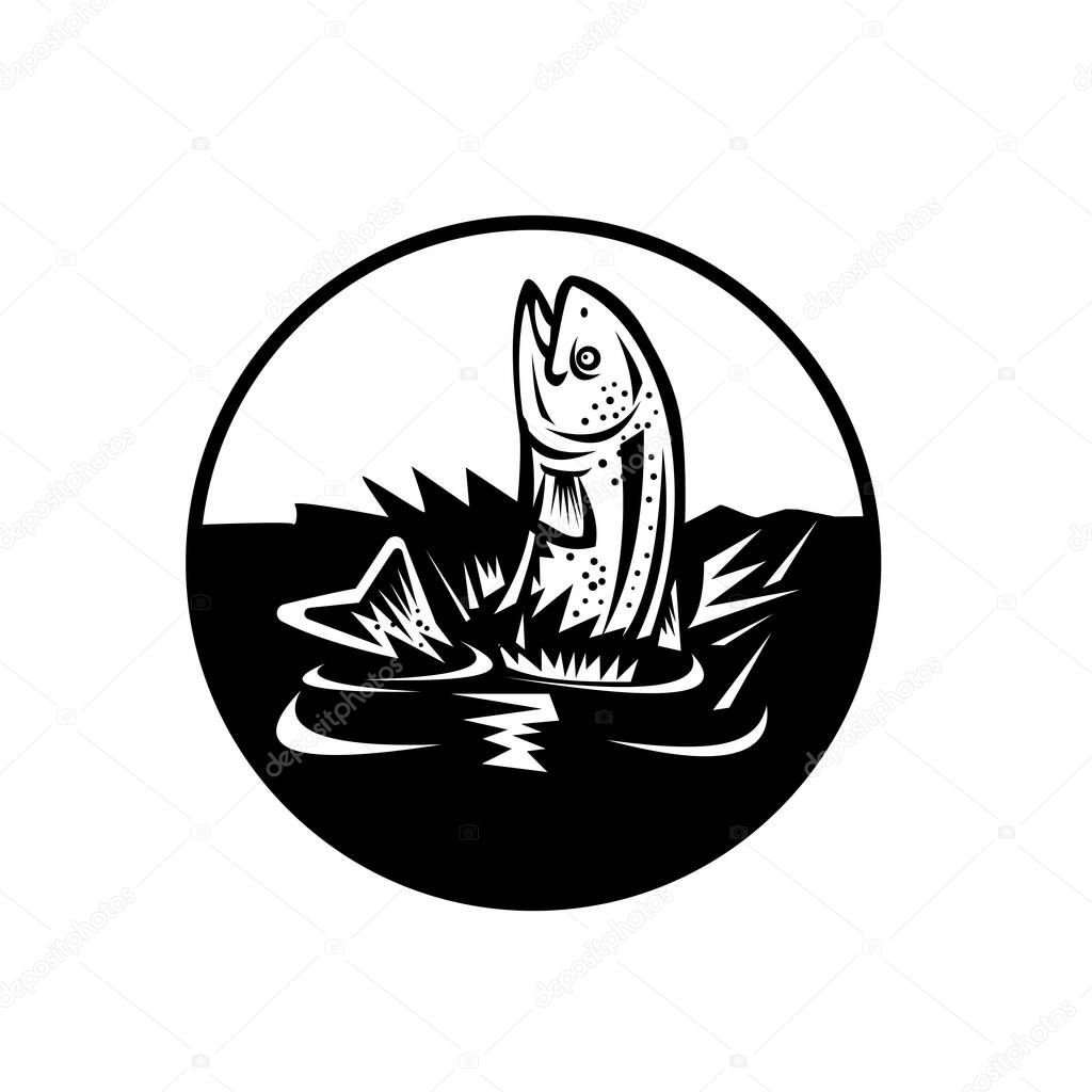 Retro woodcut style illustration of a rainbow trout, a trout species of salmonid native to cold-water tributaries of the Pacific Ocean, jumping up water on isolated background done in black and white.