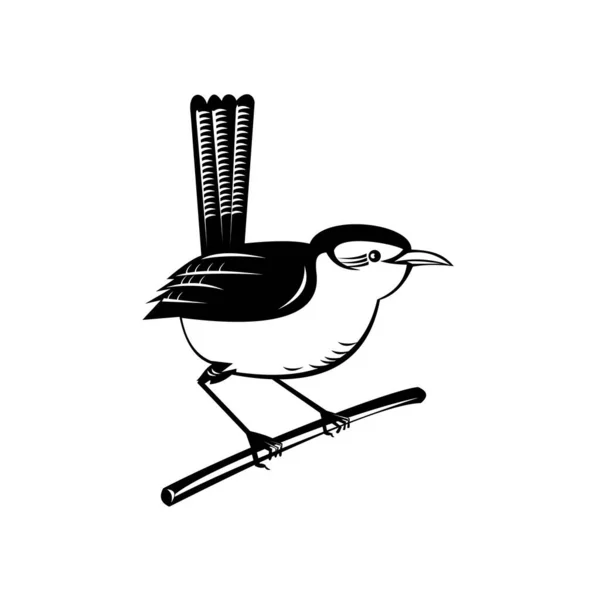 主に新世界家族Troglodytidaeの茶色のパッセリンの鳥の家族であるWrenのレトロなスタイルのイラストは 黒と白の隔絶された背景で枝の小枝に腰掛けています — ストックベクタ
