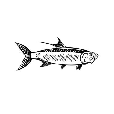 Retro style illustration of an Atlantic tarpon, Megalops atlanticus, Tarpon atlanticus silver king, grand Ecaille or sabalo real, viewed from side on isolated background done in black and white. clipart